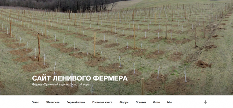 Сайт goldenhill.ru Сайт goldenhill.ru